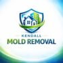 Kendall Mold Inspection & Removal